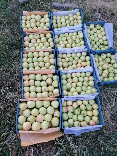 عکس حجره آقاجانی