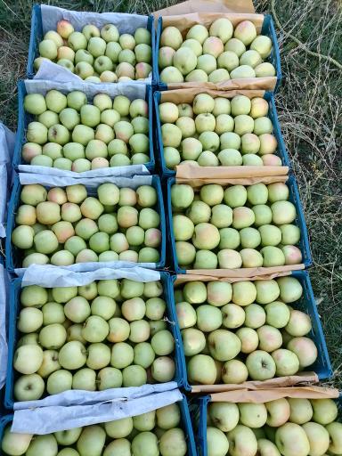 عکس حجره آقاجانی