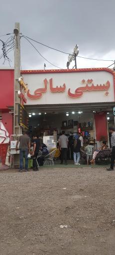 عکس بستنی سالی