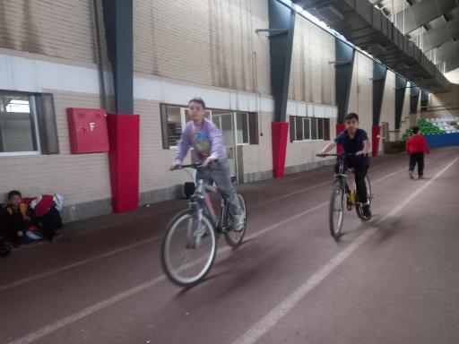 عکس مجتمع ورزشی ثمری