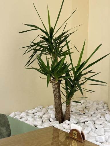 عکس کافه رستوران دیدار