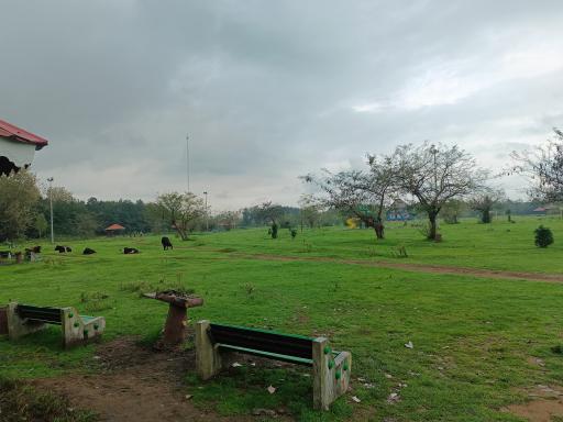 عکس پارک جنگلی چپرپردزمان