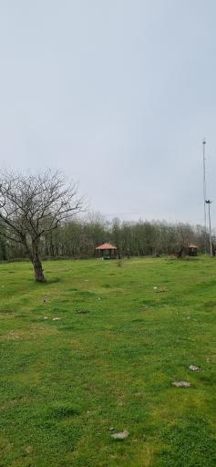 عکس پارک جنگلی چپرپردزمان