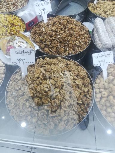 عکس گردو بذغنی