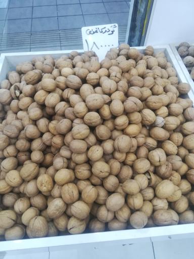 عکس گردو بذغنی