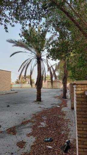 عکس دبیرستان باقرالعلوم