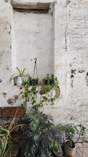 عکس کافه چرخ