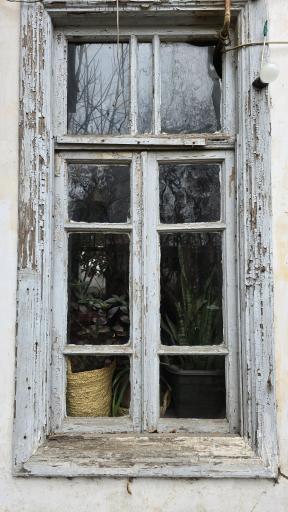 عکس کافه چرخ