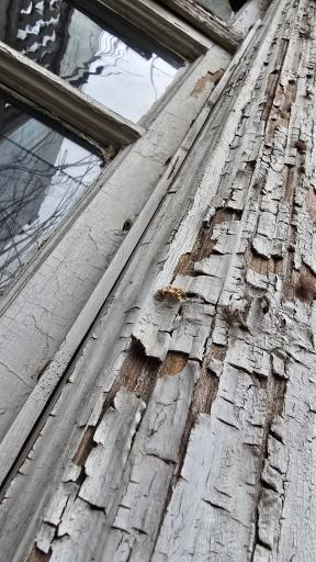 عکس کافه چرخ