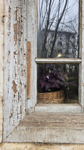 عکس کافه چرخ