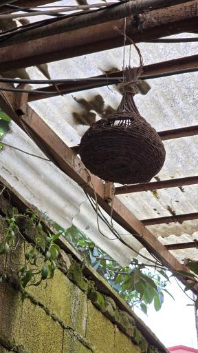 عکس کافه چرخ