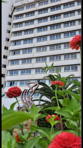 عکس برج نرگس