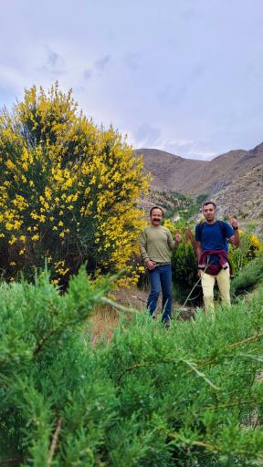 عکس چشمه گفتگو