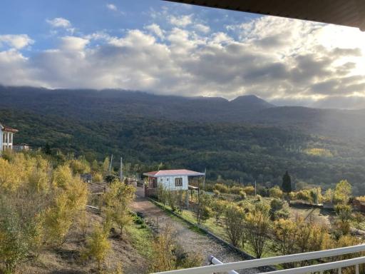 عکس اقامتگاه کل ممد