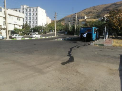 عکس آفتاب گردان