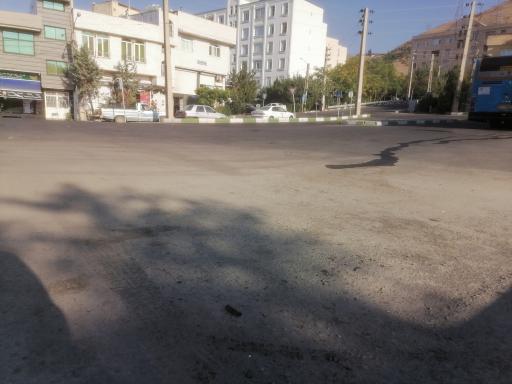 عکس آفتاب گردان