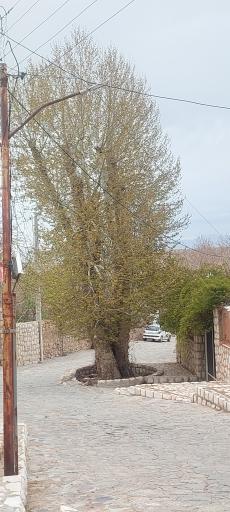 عکس جرجافک