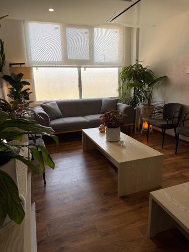 عکس فیزیوتراپی مجدی