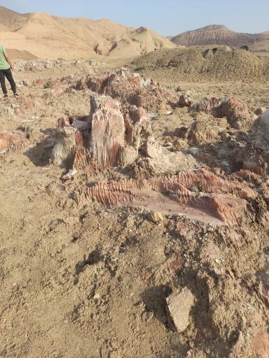 عکس معدن نمک