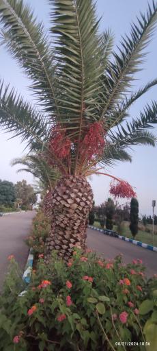 عکس مرکز همایش‌های علمی دانشگاه تهران