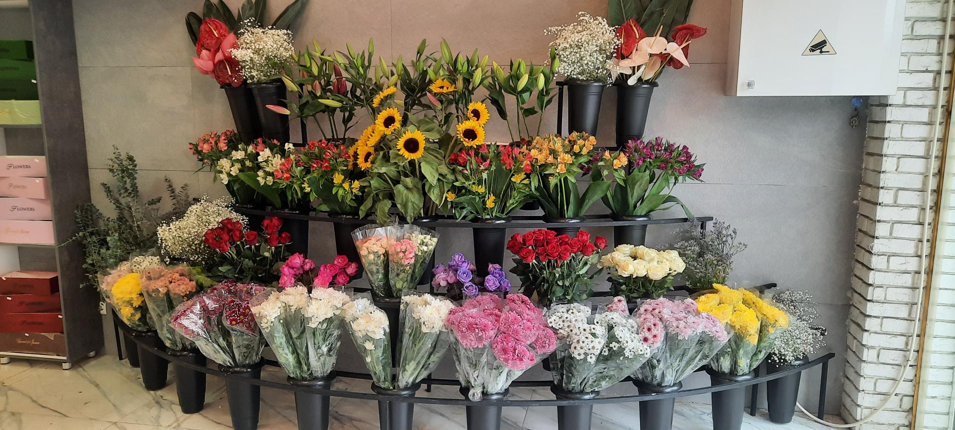 عکس گل لوتوس ۲