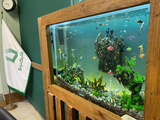 عکس املاک ملکینو