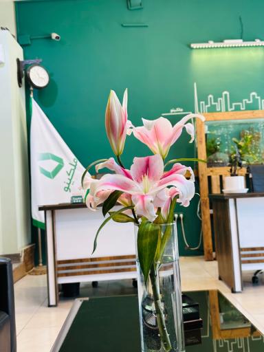 عکس املاک ملکینو