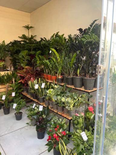 عکس گل فروشی گرین هاوس