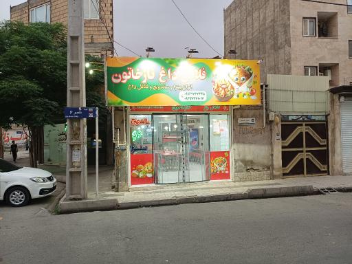 عکس فلافل نازخاتون 
