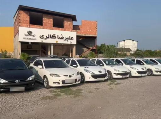 عکس علیرضا گالری