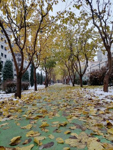 عکس مجمع مسکونی 2800 واحدی آسمان البرز