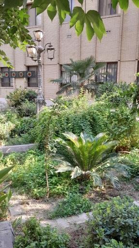 عکس عرصه پژوهش منظر پایدار