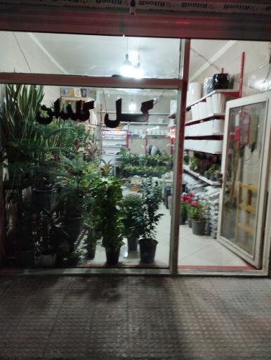 گل فروشی 