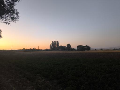 عکس باروق
