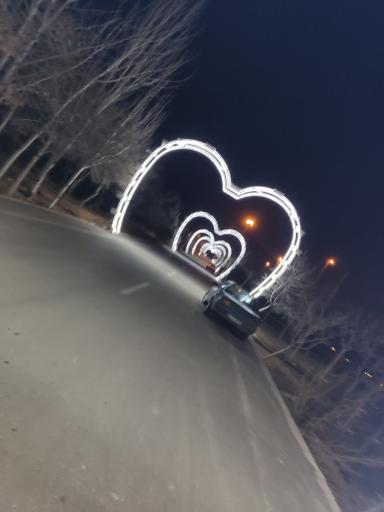 عکس پارک پیوند