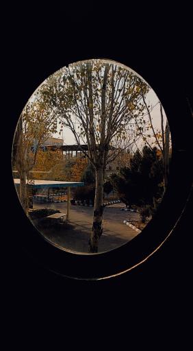 عکس دانشگاه ملی مهارت الزهرا (س)