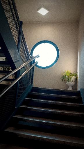 عکس دانشگاه الزهرا