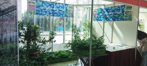 عکس گلخانه شرکت سلول فن آور دارو