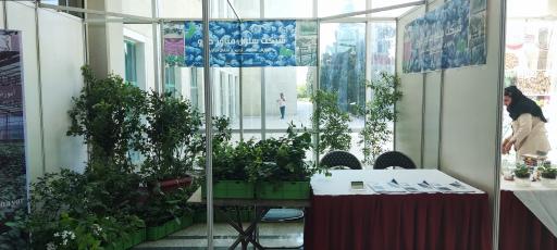 عکس گلخانه شرکت سلول فن آور دارو