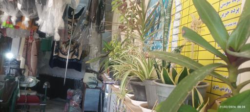 عکس خشکشویی صدف بهرمان