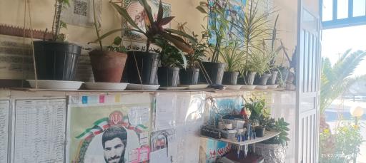 عکس خشکشویی صدف بهرمان