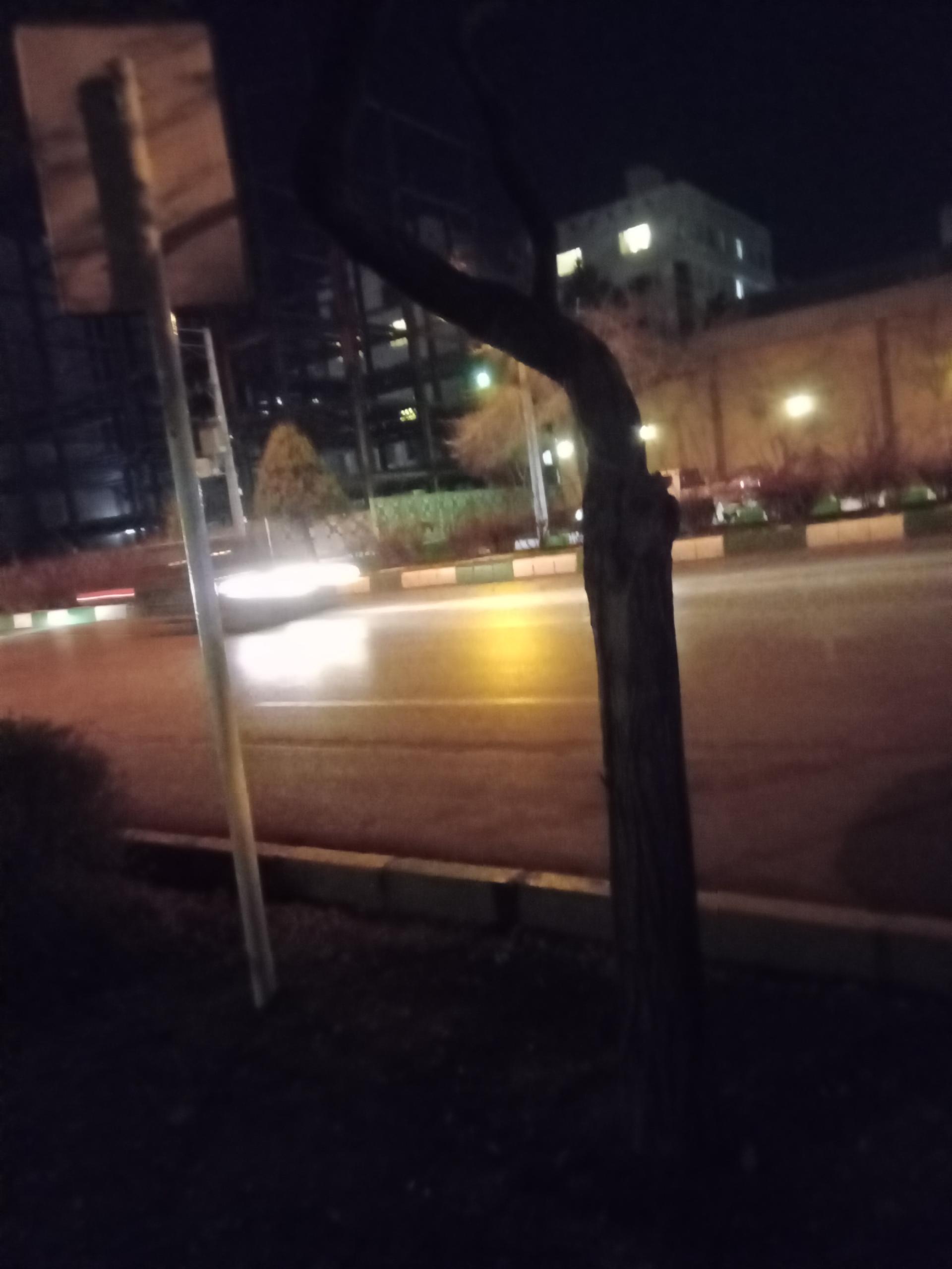 عکس  شهید صارمی 35