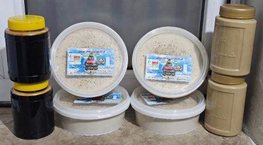 عکس پخش حلوا و ارده محلات (شایان)