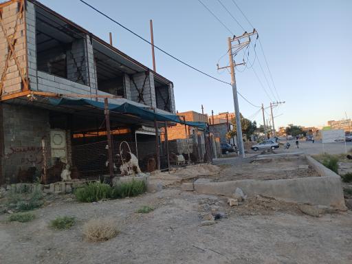 عکس فروش دام‌  زنده شجاعی 