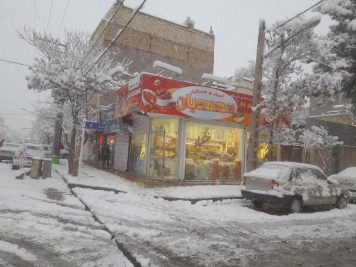 آجیل و خشکبار محمدیان