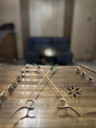 عکس آموزشگاه موسیقی میرلا