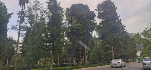 عکس بلوار کازینو