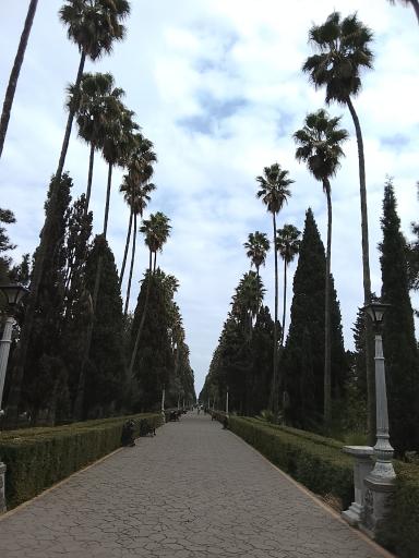 عکس بلوار کازینو