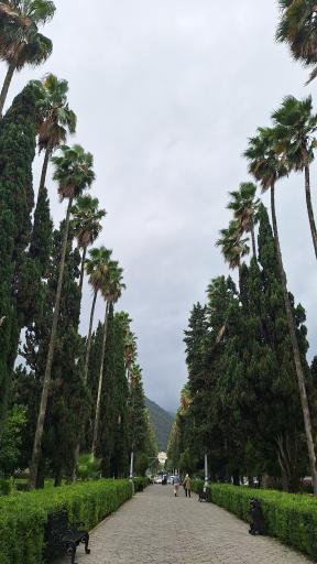 عکس بلوار کازینو