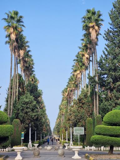 عکس بلوار کازینو